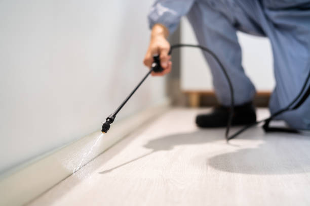 Rodent Entry Point Assessment in Fort Riley