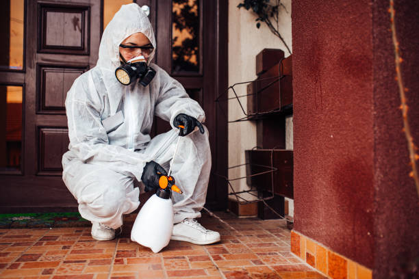 Attic and Crawl Space Rodent Treatment in Fort Riley