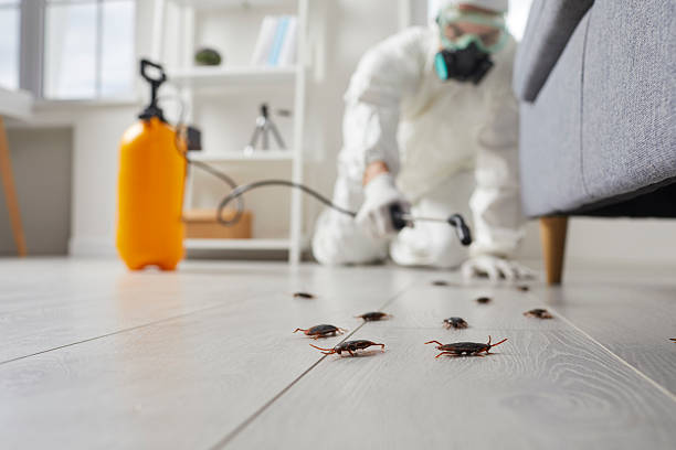 Commercial Rodent Management in Fort Riley
